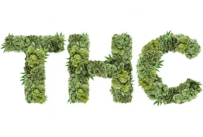 thc logo 1